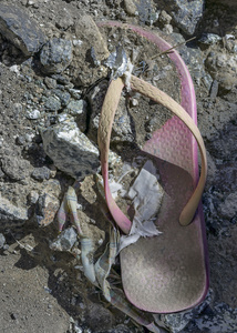 Forgotten Footsteps