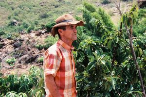 El Tio Noe, the man with the greenest  thumb in the valley.