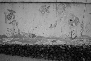 Traces