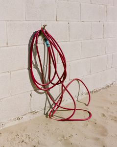 Hose