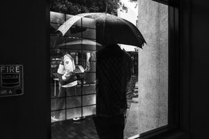Umbrella