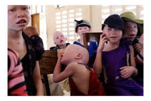 Sleeping beauty. Albinos Camp.