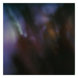 Twilight | The Secret Life of Plants V