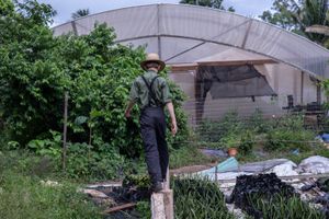 Mennonites of Springfield, Belize