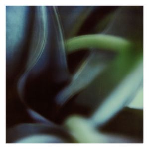 Twilight | The Secret Life of Plants X