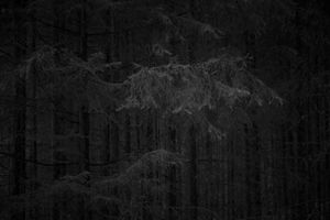 Untitled 4