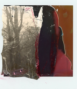 Constructed Landscapes 1
