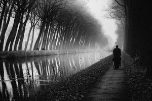 Along the canal