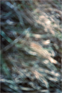 In a Landscape #3