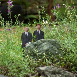 the fairies in the garden