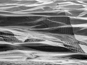 Palouse Patterns 1 2019