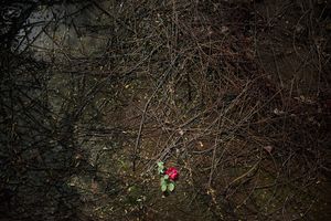 © Vancon Laetitia