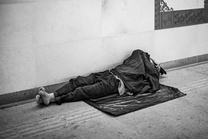 The vagrant