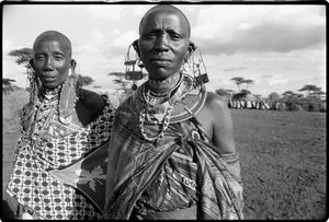 Maasai elders, Kenya  © Betty Press