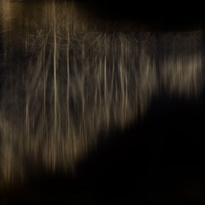 Licorice Black  — Axis Mundi