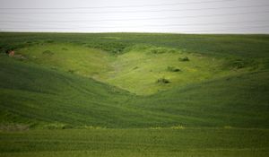 GreenPeace 3