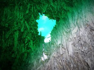 GREEN-(W)HOLE