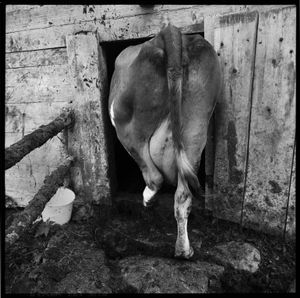 © romano p. riedo | fotopunkt.ch