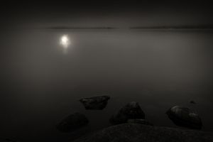 Ignis Fatuus, Study 8