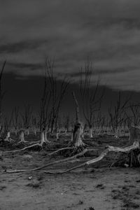 Epecuen