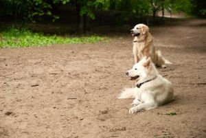Max and Rudy