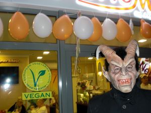 "VEGAN VIRGIN DIARIES"