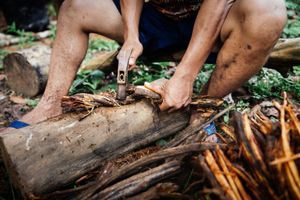 Preparation for Ayahuasca.