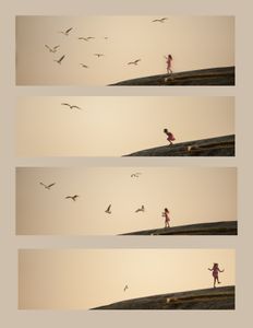 Feeding seagulls