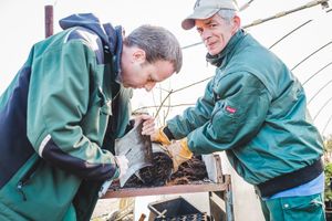 Working in the garden centre and arboretum.
