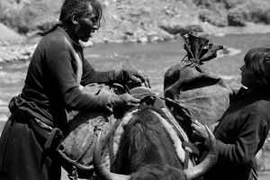 Just outside the settlement of Manigange, a team of Khampa men load up a caravan of yak with traditional leather sacks, bound for Dege © Michael Freeman