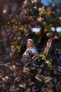 Madonna, Chicago, IL