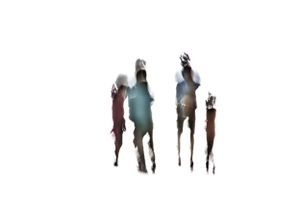 Family unit