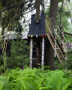 Tree Shed, Toronto Islands