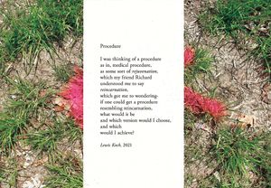2021, front, commercially printed color postcard, with vertical belly-band, and poem, "Procedure," 2021.