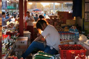 Picker, Beijing, 2012 © Scott Conarroe