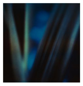 Twilight | The Secret Life of Plants VIII