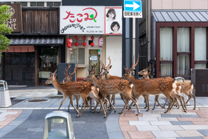 7/19/2020_In front of a local dinar