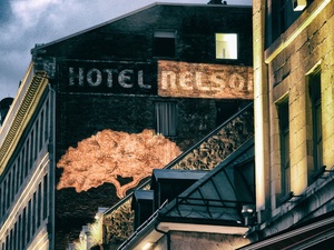 Hotel Nelson
