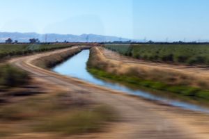 65 MPH Series_Untitled 10
