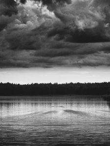 Beside the water II