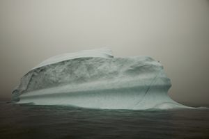 Melt #36