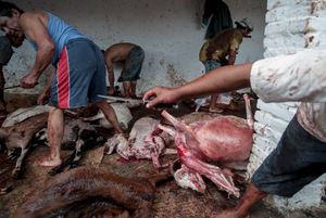 La Matanza