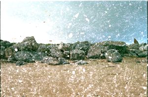 Sand And Sea
