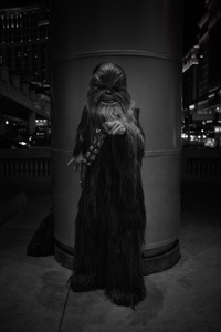 Las Vegas, 2014