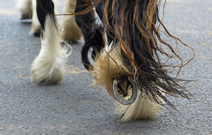 Appleby Horse Fair, feature for Amazone magazine