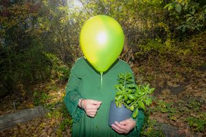 This is not a Balloon Photo.