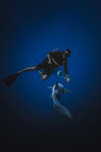Dancing with Sharks