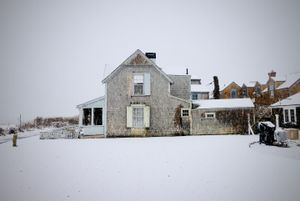 Spring Snow
