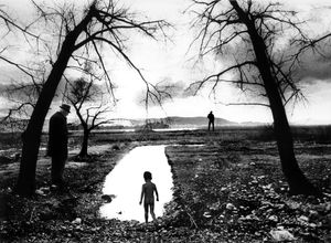 10.	PERPETUAL RETURN