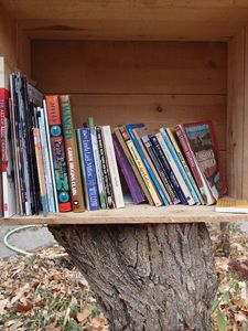 “Ex Libris: What Madison is (and is not) reading,” 2015